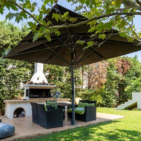 Beautiful Summer Villa In Chalkoutsi Khalkoutsion Экстерьер фото