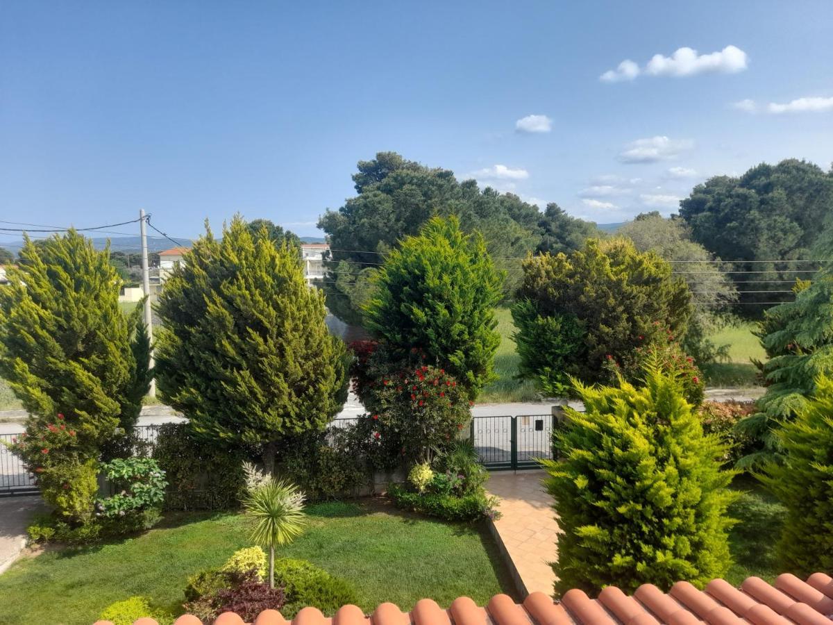 Beautiful Summer Villa In Chalkoutsi Khalkoutsion Экстерьер фото