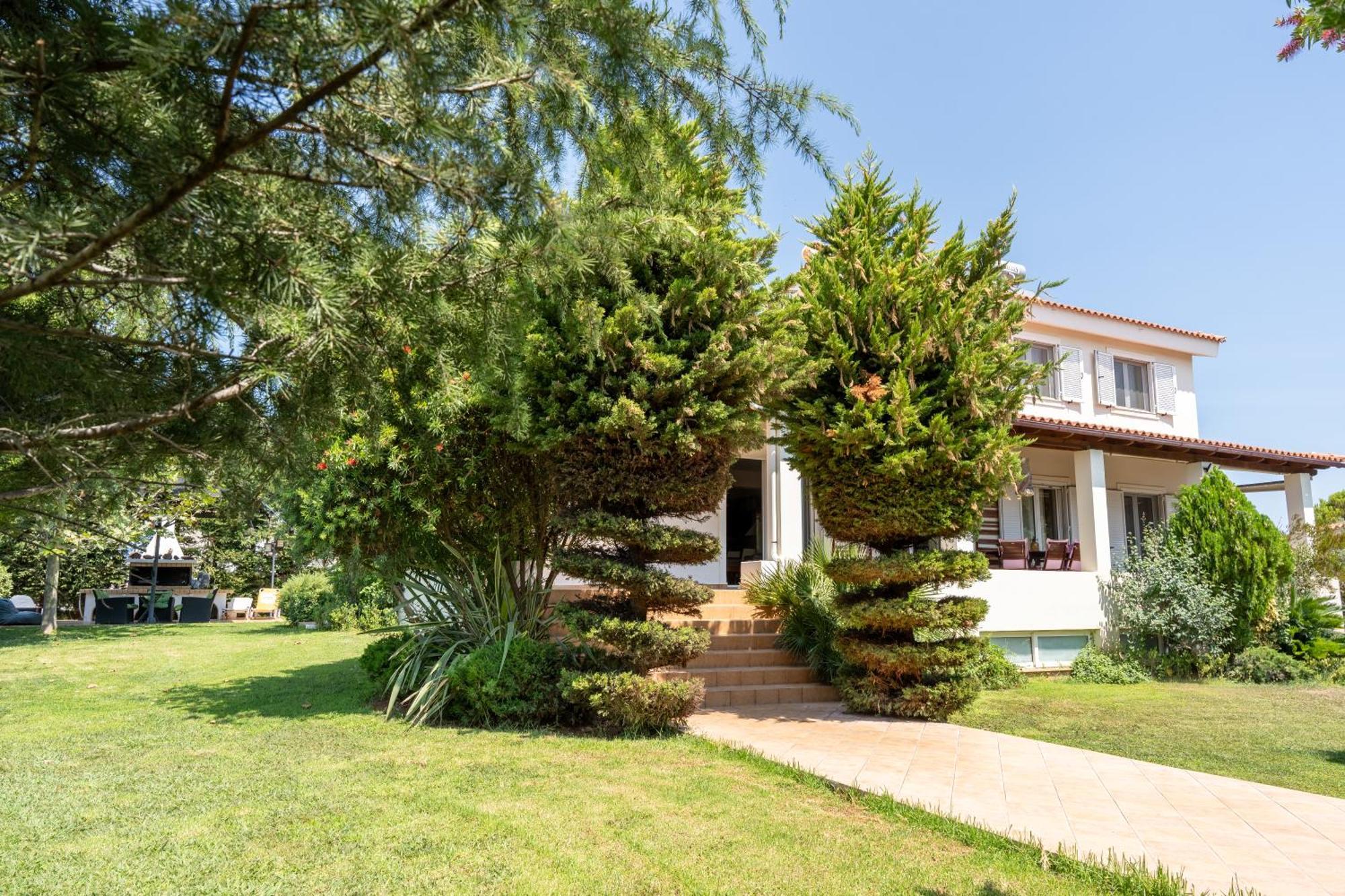 Beautiful Summer Villa In Chalkoutsi Khalkoutsion Экстерьер фото