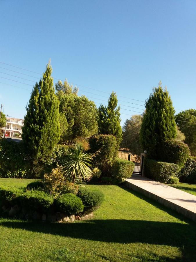Beautiful Summer Villa In Chalkoutsi Khalkoutsion Экстерьер фото